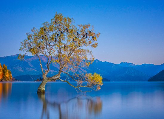 Day-3-Wanaka-1