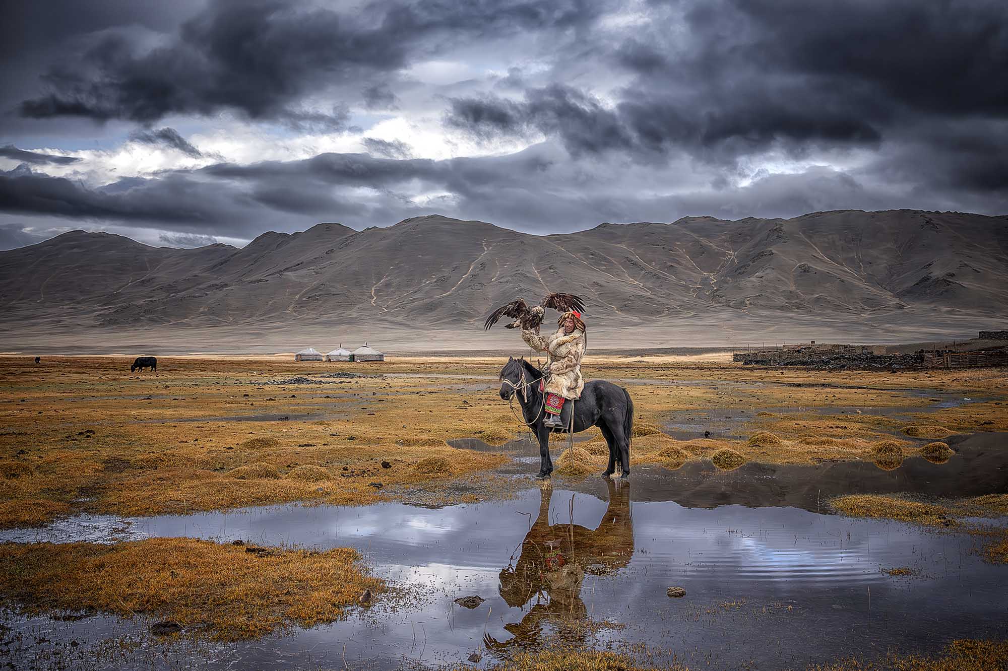 Mongolian Eagle Hunters photography tour 2027